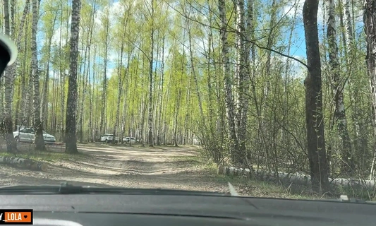 Весенняя прогулка на природе закончилась домашним сексом